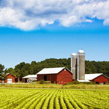 Farm & Ranch